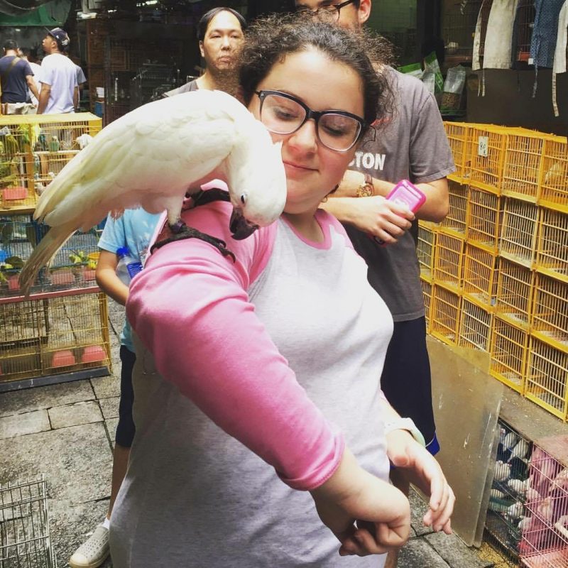 Hong Kong Kid and Family Friendly Tours Bird Garden