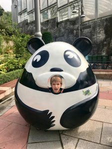 Panda photo opportunity Macau