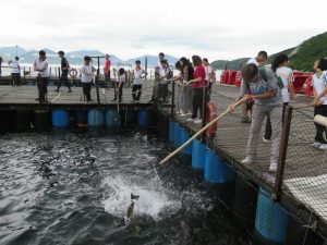 Group of visitors trying Hookless fishing at Fisherfolk Floating Village, Lamma