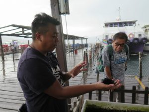 Tour guide holding sea urchin at Fisherfolk Village Lamma Island, Hong Kong.