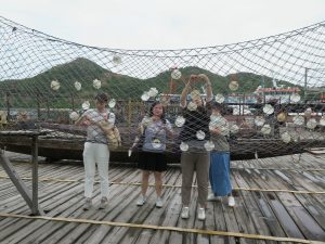 Visitors hanging wishing shells on net at Fisherfolk Village, Lamma Island, Hong Kong.