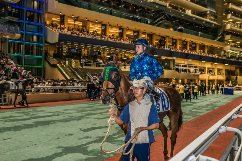 Happy Valley, Hong Kong, China- June 5, 2014: horse race at Happy Valley racecourse