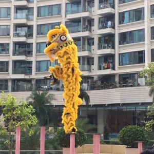 Lion Dance