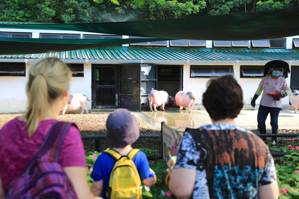 Kadoorie Farm