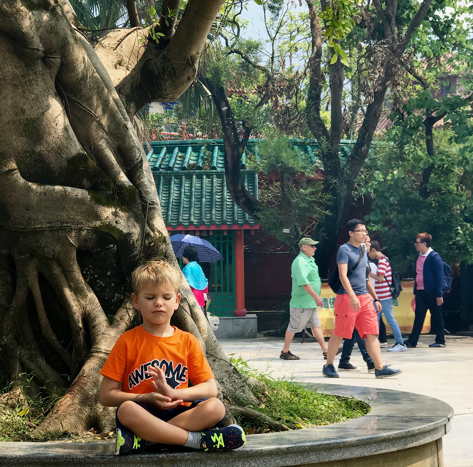 lantau island tour with ngong ping 360 cable car ride