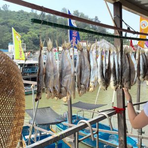 Tai O Lantau Car Tour