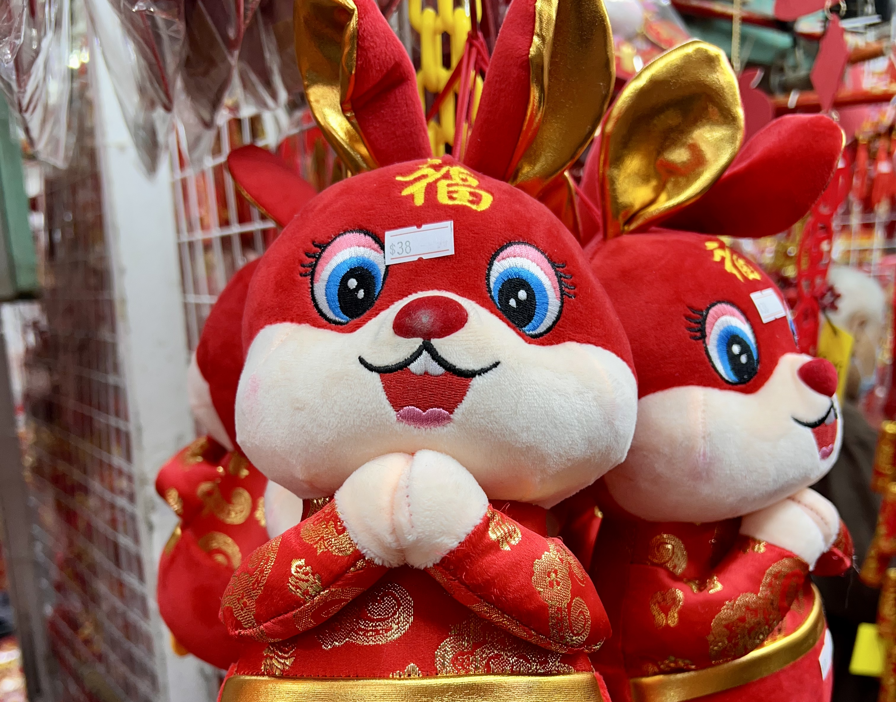 Chinese New Year in Hong Kong