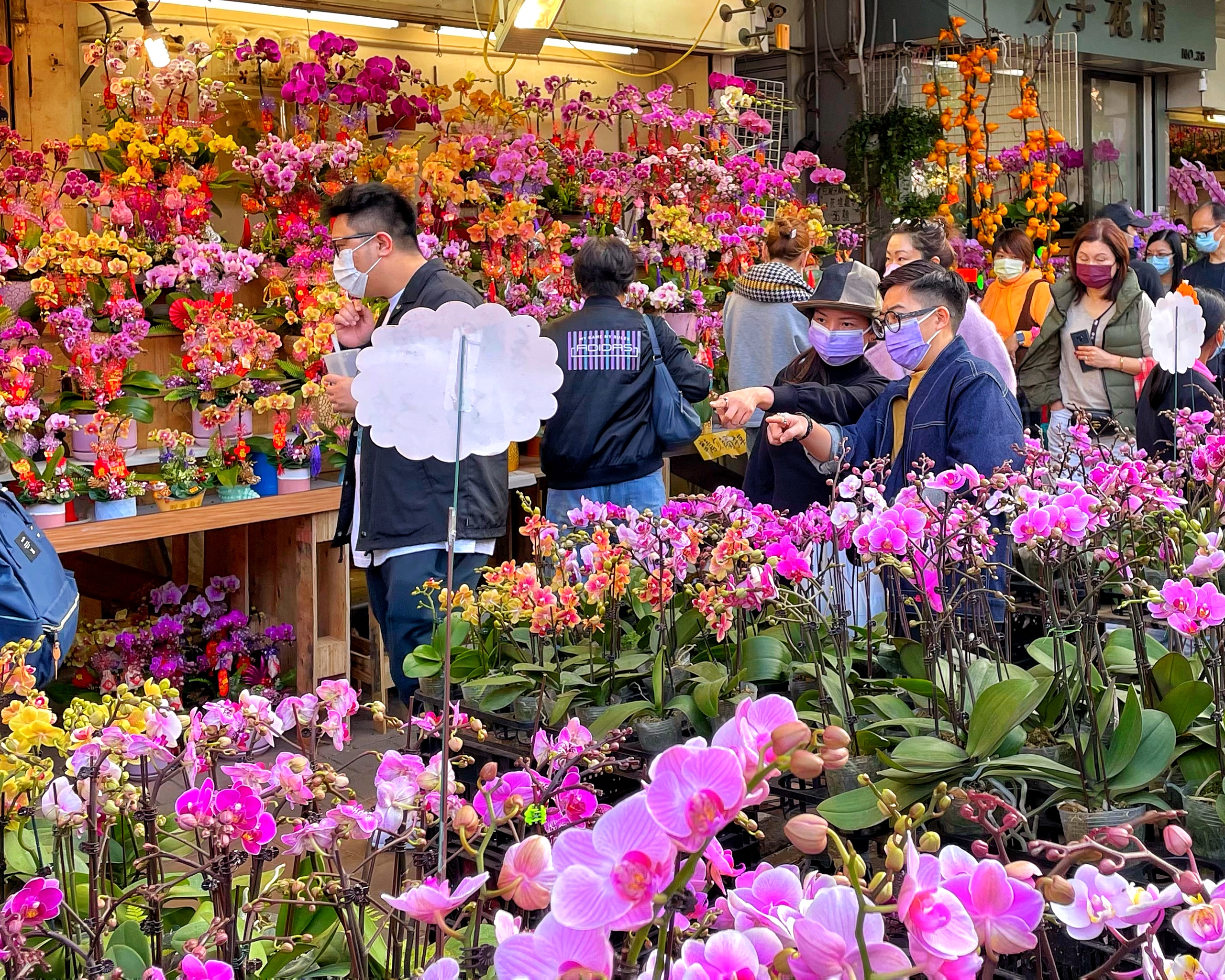 Flower Market Chinese New Year