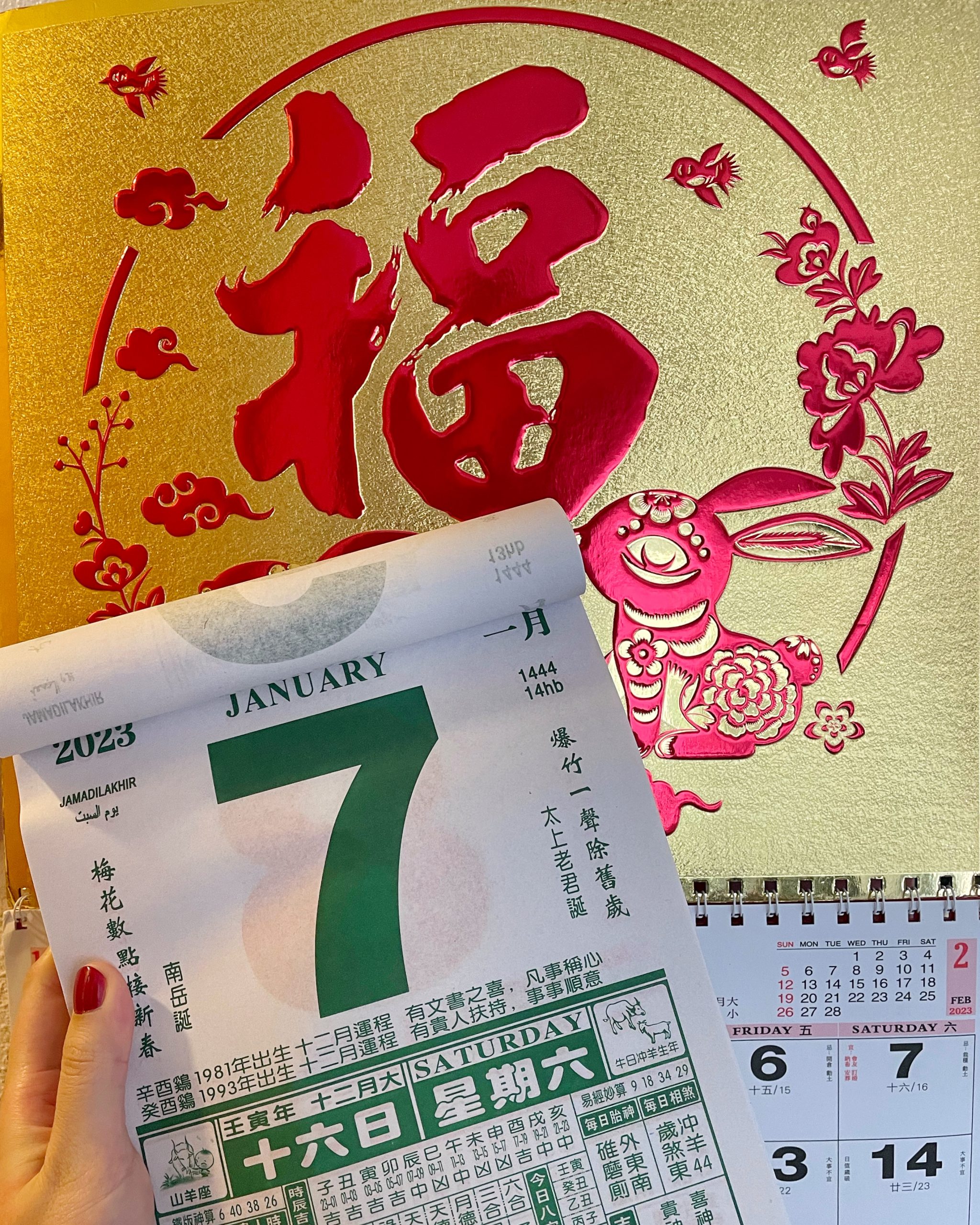 Lunar New Year Group Tour of Mong Kok