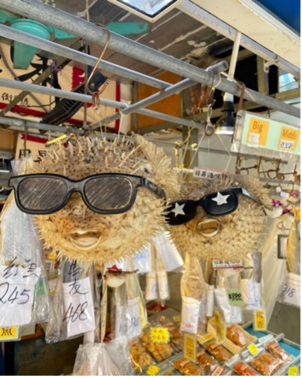 Puffer fish Tai O
