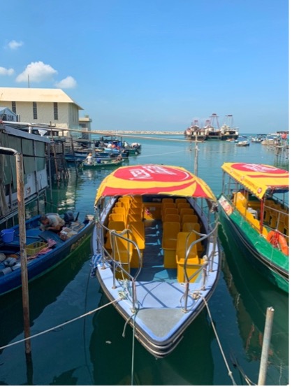 Dolphin boat