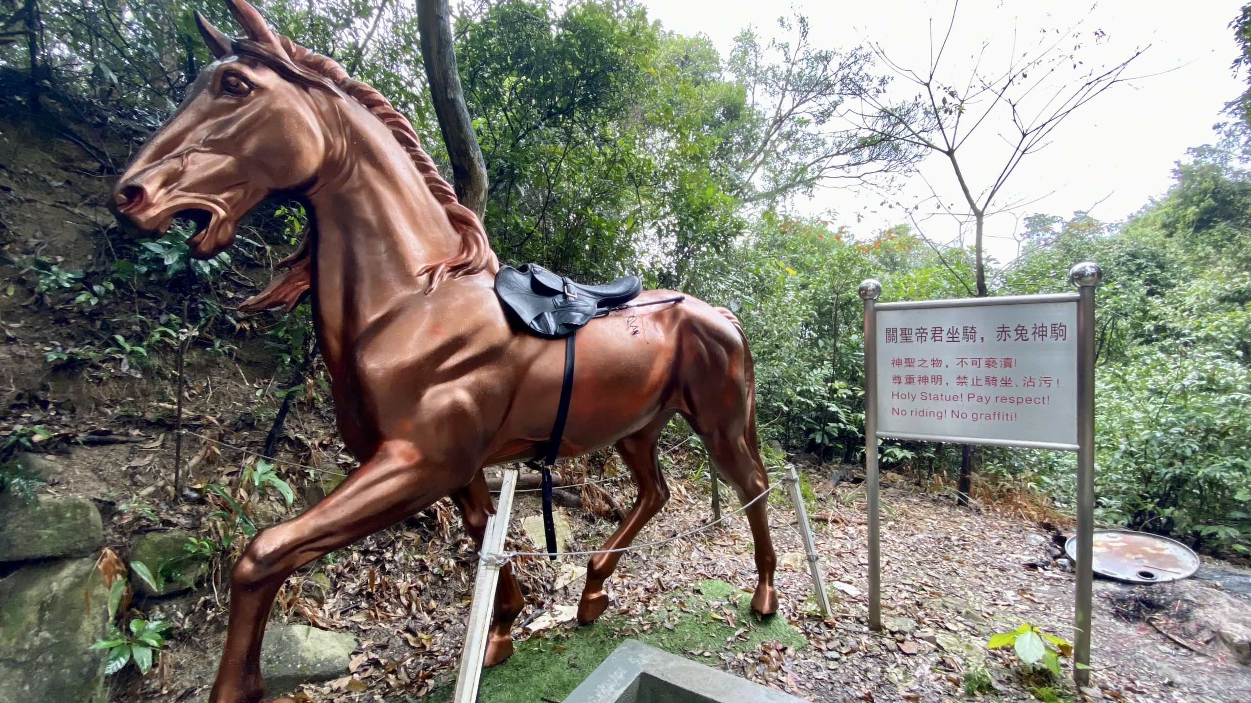 Celebrating the Year of the Horse in Hong Kong